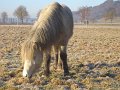 Winter1011 (31)